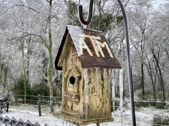 Winter Storm Frozen Pipe Repairs